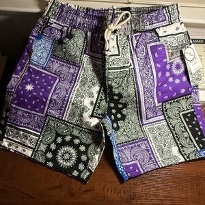 Paisley Men's Twill Shorts - Purple and Black -Size M New